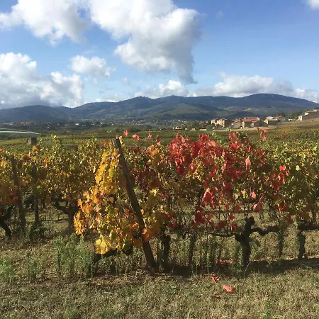 Spacieuse Le Clos Des Vignes *