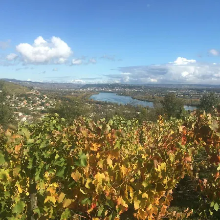 Homestay Spacieuse Le Clos Des Vignes *