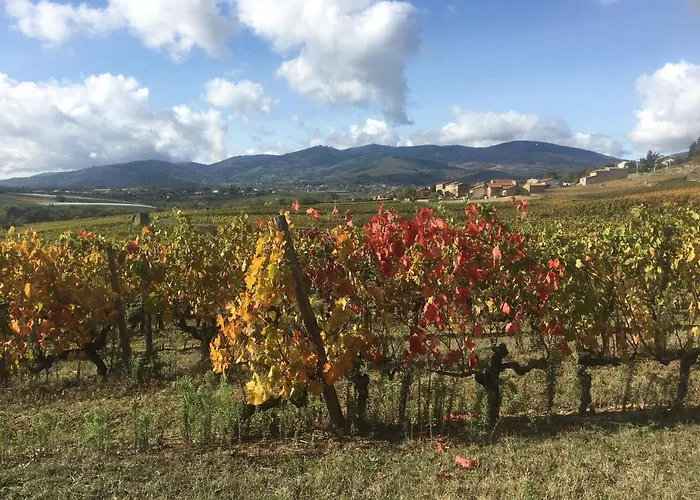 Spacieuse Le Clos Des Vignes *