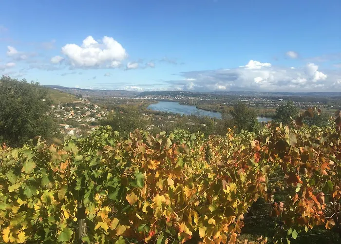 Accommodatie bij particulieren Spacieuse Le Clos Des Vignes *
