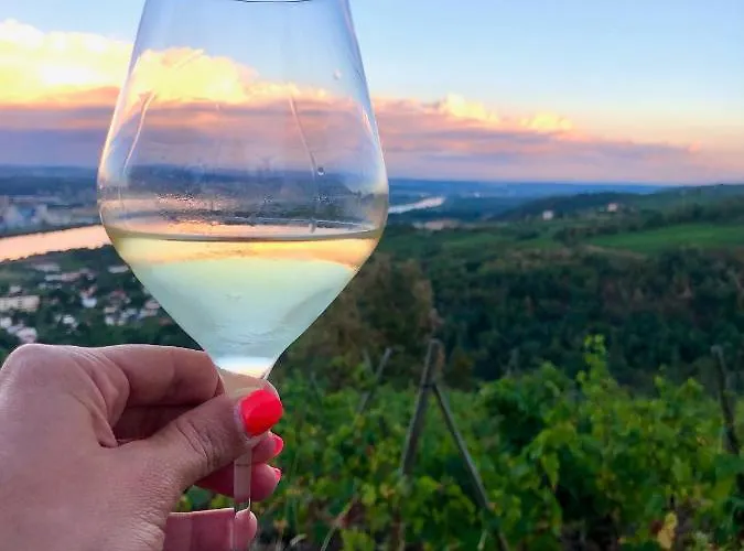 Spacieuse Le Clos Des Vignes Chavanay