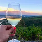 Spacieuse Le Clos Des Vignes Chavanay