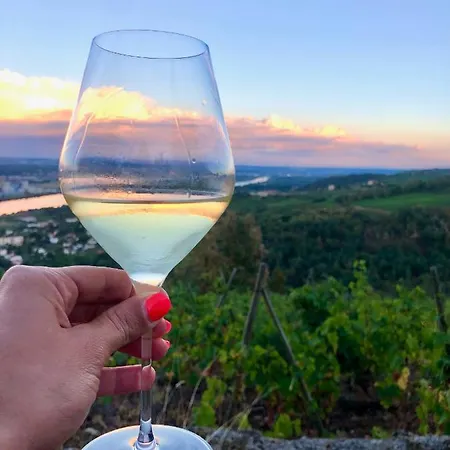Spacieuse Le Clos Des Vignes Chavanay